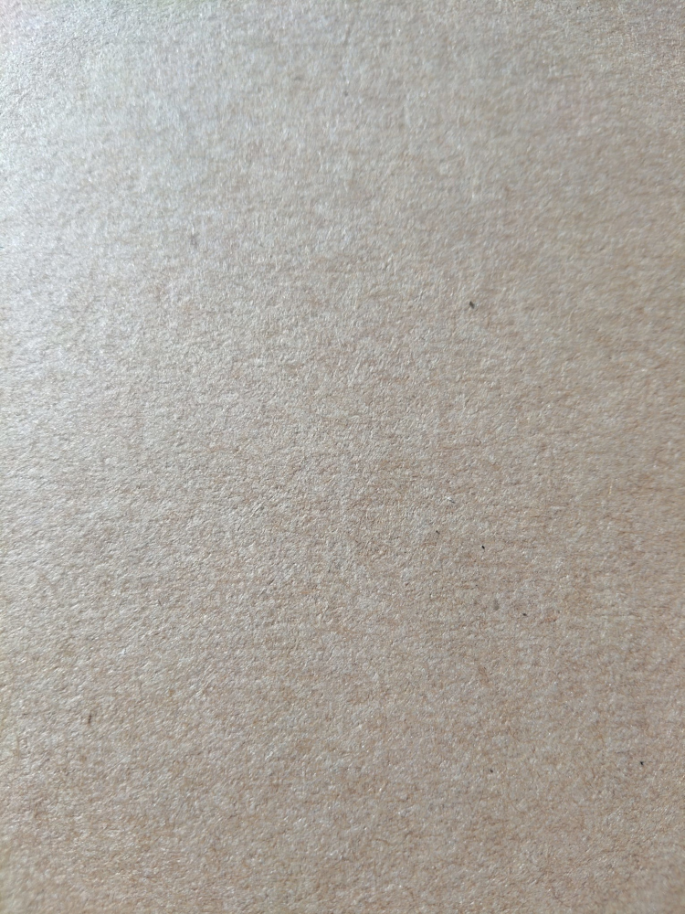 18x1220x2440 Filmivaneri f/f 2-L havu