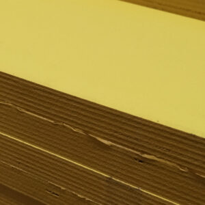 19x1220x2440 Filmivaneri f/f 2-L keltainen